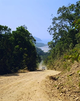 Cape Tribulation Prints: The Bloomfield Track, Cape Tribulation National Park, Queensland, Australia