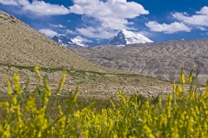 Images Dated 21st August 2009: Blooming field before the peak Marx and Engels, Shokh Dara valley, Tajikistan