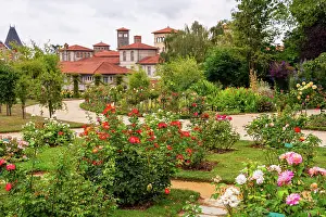 Floral Prints: Blooming roses in a garden surrounded by French architecture in Rennes, Brittany, France