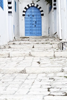 Blue Door Prints: Blue door and steps, Sidi Bou Said, Tunisia, North Africa, Africa