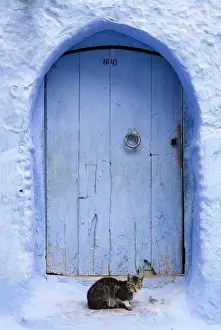 Blue door and wall in the old town of Chefchaouen (Chaouen) (The Blue City), Morocco