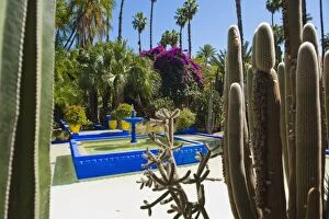 Moroccan Culture Gallery: Blue fountain and cactus in the Majorelle Gardens (Gardens of Yves Saint-Laurent), Marrakech