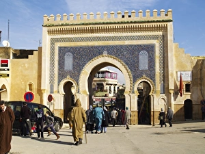Tiling Prints: The Blue Gate, Fez, Morocco, North Africa, Africa