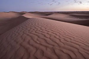 Erg Chebbi Prints: Blue hour on the Sahara Desert sand dune patterns, Erg Chebbi, Merzouga, Morocco