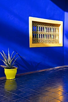 Vibrant Colours Prints: Detail of blue house and yellow plant pot in Majorelle Garden