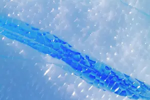 Glacier Prints: Detail of blue ice coloration around the Antarctic Peninsula during summer months in Antarctica highlighting natural
