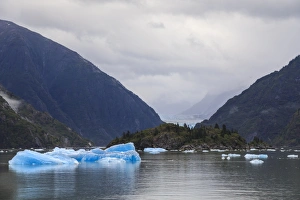 Floating On Water Prints: Blue icebergs and face of Sawyer Glacier