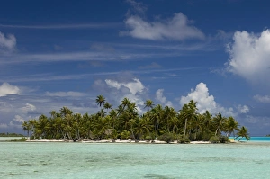 Blue Lagoon Prints: Blue Lagoon