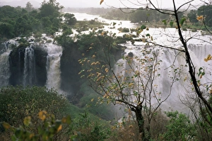 Gondar Prints: Blue Nile falls, Lake Tana area, Gondar region, Ethiopia, Africa
