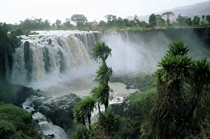 Fall Prints: Blue Nile Falls, near Lake Tana, Gondar region, Ethiopia, Africa