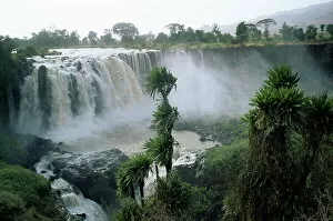 Fall Collection: Blue Nile Falls, near Lake Tana, Gondar region, Ethiopia, Africa