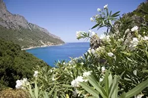 The blue sea at Santa Maria Navarrese, Gulf of Orosei, Sardinia, Italy