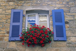 Window Box Prints: Blue shuttered windows and red flowers, Concarneau, Finistere, Brittany, France, Europe