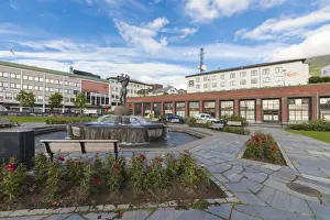 Flower Bed Prints: Blue sky frames a statue in the old square of the city center of Narvik, Ofotfjorden