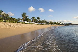 Antigua Prints: Blue sky and palm trees frame the beach and the Caribbean sea, Hawksbill Bay, Antigua