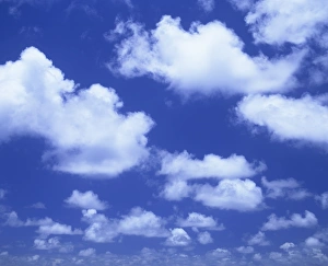 Generic Location Prints: Blue sky with puffy white cumulus clouds near Taupo, New Zealand, Pacific
