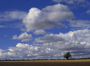 Burford Prints: Blue sky with white clouds over farmland near Burford, Oxfordshire, England
