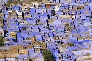 Images Dated 2nd August 2008: The blue town of Jodhpur
