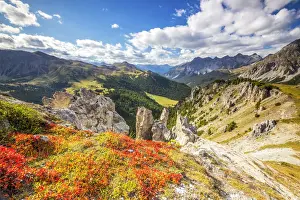 Moritz Prints: Blueberry leaves in autumn near rock towers in the Swiss National Park, Fuorn Pass