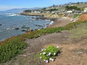 Bluff Walk, United States of America
