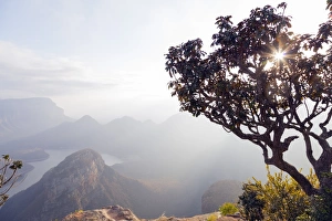 Mpumalanga Prints: Blyde River Canyon Nature Reserve at sunrise, Mpumalanga, South Africa, Africa