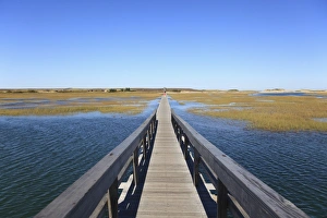 Sandwich Prints: Boardwalk, Salt Marsh, Sandwich