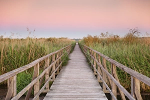 Upper Swabia Prints: Boardwalk at sunrise, Federsee Lake