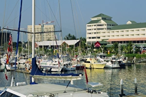 Cairn Prints: Boat harbour, Cairns, Queensland, Australia