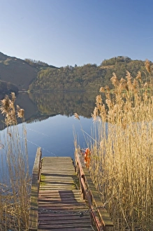 Grasmere Prints: Boat landing, Grasmere village, Lake Grasmere, Lake District National Park