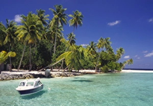 North Male Atoll Prints: Boat Moored Off the Coast of Kuda Bandos, North Male Atoll, Maldives