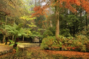Images Dated 27th May 2008: The boathouse, Alfred Nicholas Gardens, Dandenong Ranges, Victoria, Australia, Pacific