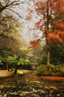 Images Dated 27th May 2008: The boathouse, Alfred Nicholas Gardens, Dandenong Ranges, Victoria, Australia, Pacific