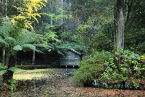 Images Dated 22nd May 2008: The boathouse, Alfred Nicholas Gardens, Dandenong Ranges, Victoria, Australia, Pacific