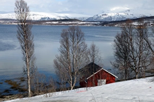 Boathouse Prints: Boathouse on the shores of a fjord near Eidkjosen
