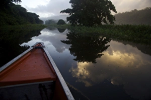 Images Dated 5th December 2009: Boating and observing fauna and flora in the everglade area of Kaw, French Guiana