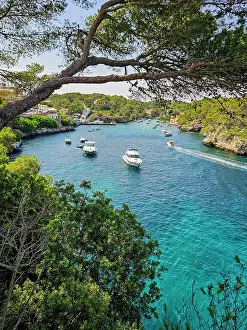 Sailboats Prints: Boats move through the bay of Calla Figueera in Mallorca during a sunny day with trees along the coast