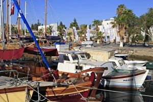 Boats in Bodrum Harbor, Anatolia, Turkey, Asia Minor, Eurasia