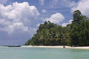 Images Dated 15th April 2009: Boats on coast in turquoise sea, Havelock Island, Andaman Islands, India