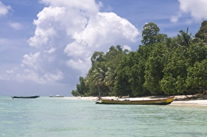 Images Dated 15th April 2009: Boats on coast in turquoise sea, Havelock Island, Andaman Islands, India
