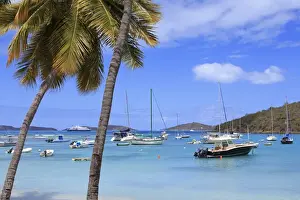 Virgin Islands Prints: Boats in Cruz Bay, St. John, United States Virgin Islands