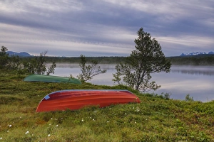 Traditionally Norwegian Prints: Boats on green meadows frame the calm water at night, Bogen, Evenes, Ofotfjorden
