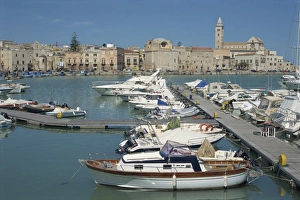 Boats in the harbour
