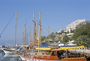 Boats in the harbour