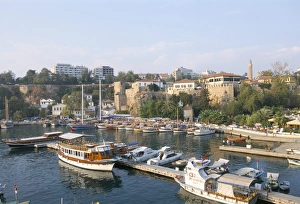 Boats in the harbour