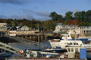 Maine Prints: Boats in the harbour and buildings on the waterfront