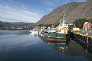 West Fjords Prints: Boats in the harbour at the village of Bildudalur, West Fjords, Iceland, Polar Regions