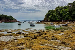 Seaweed Prints: Boats, Ile-de-Brehat, Cotes-d'Armor, Brittany, France, Europe