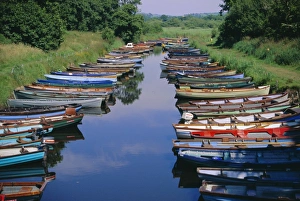 Kerry Prints: Boats, Killarney