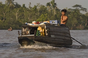 Delta Prints: Boats on the Mekong Delta