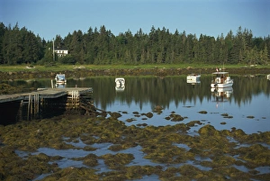 Tides Prints: Boats moored in Peggys Cove at low tide, South Shore, Nova Scotia